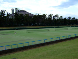annai_tennis 千葉総合スポーツセンターの写真